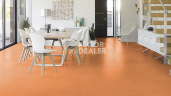 Gerflor Taralay Initial Compact (Plain & allover look) 0966 Miami Abricot фото 2 | FLOORDEALER